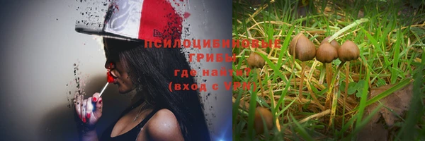 винт Абаза