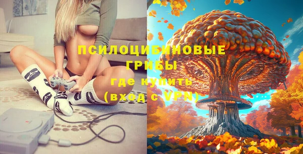 ECSTASY Абинск
