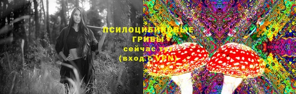 винт Абаза