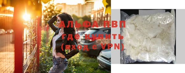 винт Абаза