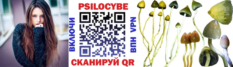 где купить наркоту  Троицк  Псилоцибиновые грибы Cubensis 
